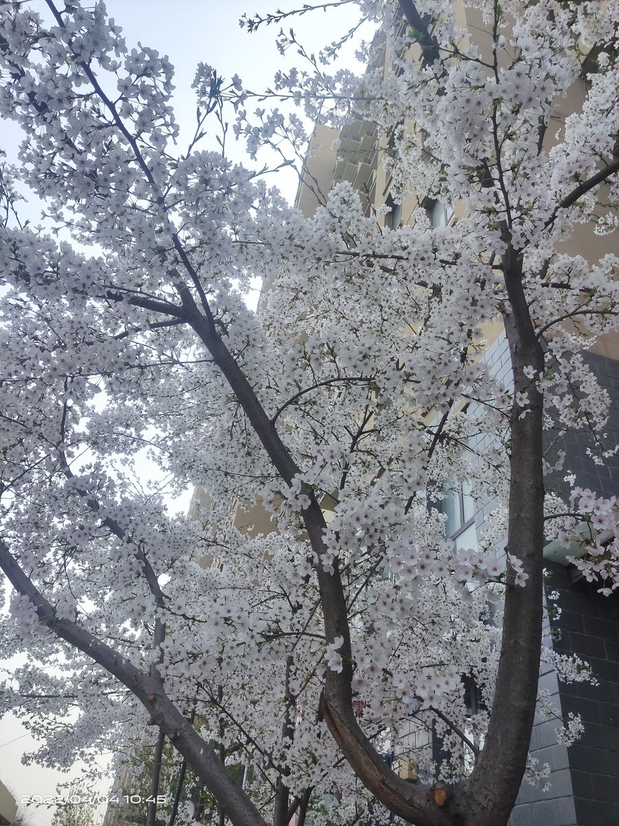 Agelia (@xinxin70587513) on Twitter photo 