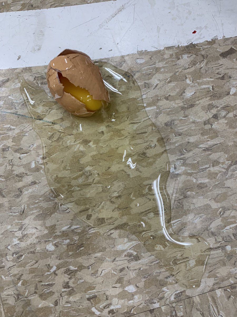 tgreenwood (@bge_sdt) on Twitter photo Science is so much fun!!! Science is so much fun!!!