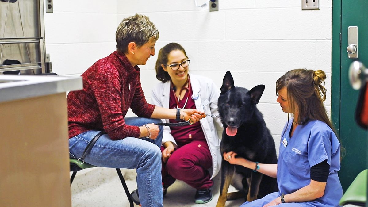 JobVmc's tweet photo. The Small Animal Surgery Service is adding a Veterinary Assistant to their team. Follow the link below to apply.
https://t.co/G2tTYObb96 https://t.co/wVAxbZ80q8
