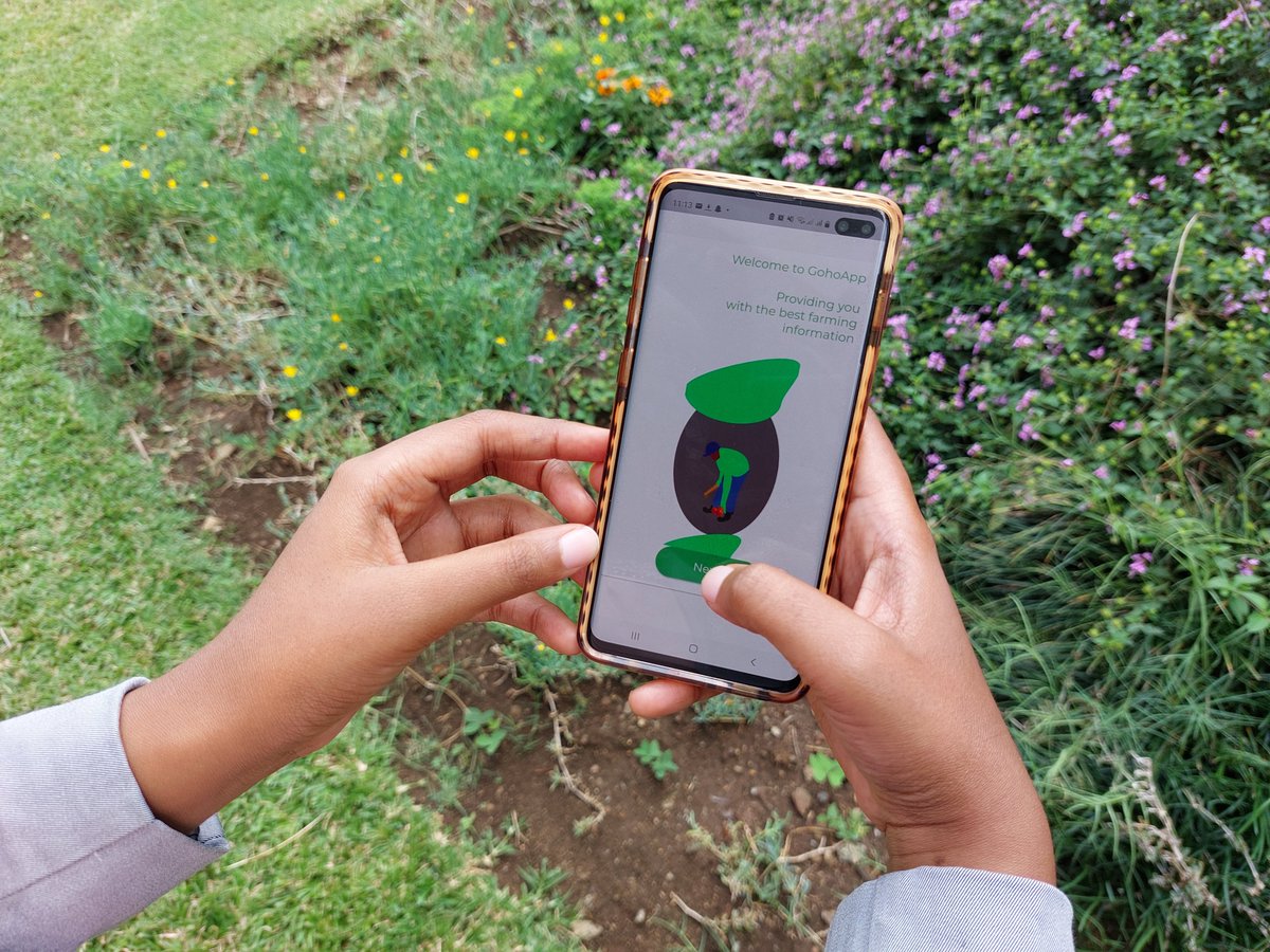 _ARIPO's tweet photo. The theme for #WorldIPDay this year is "IP and Youth: Innovating for a Better Future". Meet Admire, a young Zimbabwean 🇿🇼 in agri-tech 🌽 and creator of the Goho app 👉 https://t.co/N7OE0W53Jh https://t.co/dxih4BqV9o