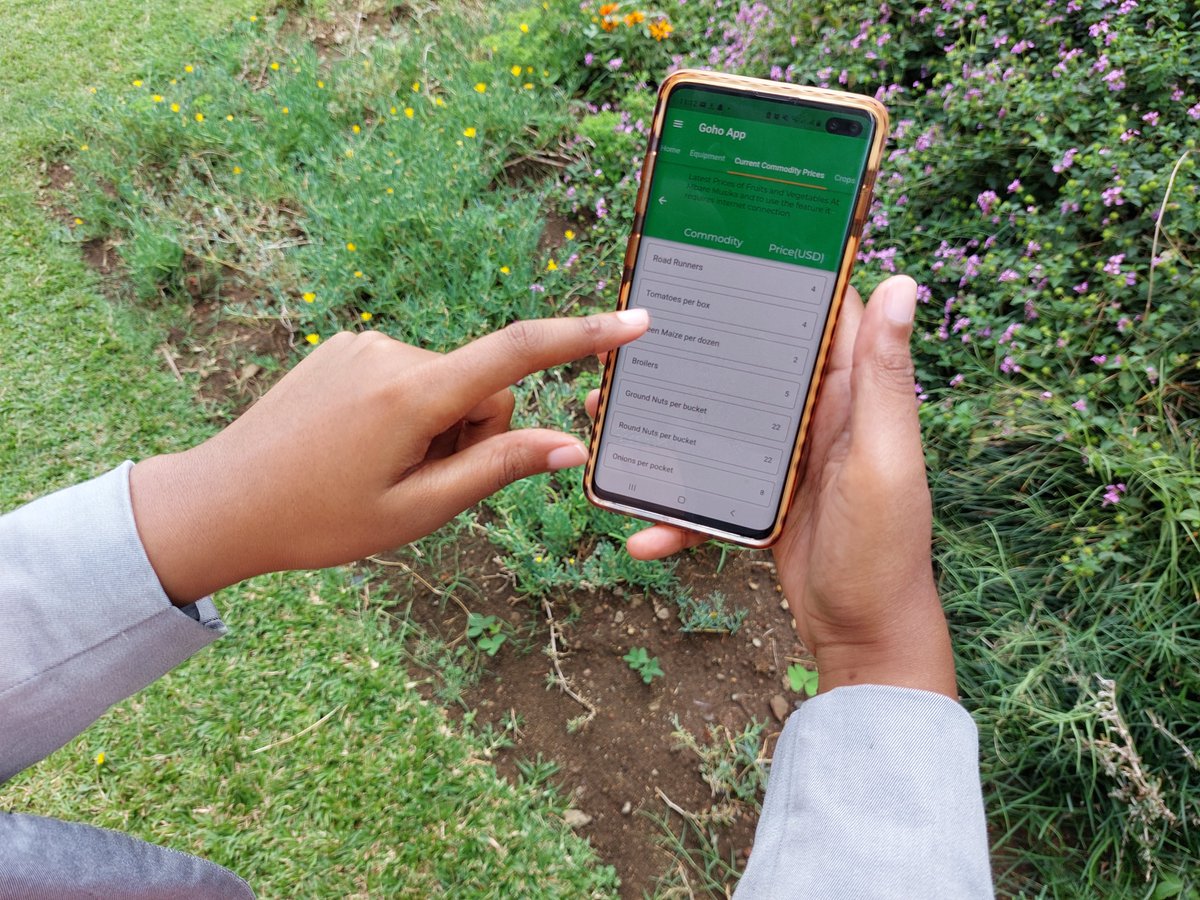 _ARIPO's tweet photo. The theme for #WorldIPDay this year is "IP and Youth: Innovating for a Better Future". Meet Admire, a young Zimbabwean 🇿🇼 in agri-tech 🌽 and creator of the Goho app 👉 https://t.co/N7OE0W53Jh https://t.co/dxih4BqV9o