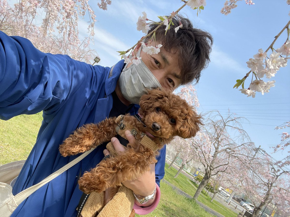 溢れ出るぬいぐるみ感🧸🧸🧸