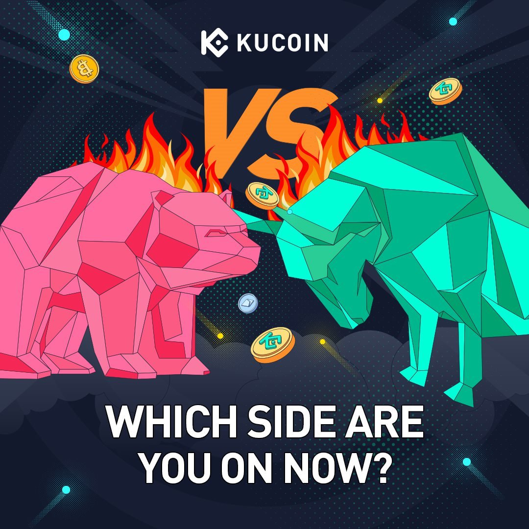 Bull or Bear? 🤔