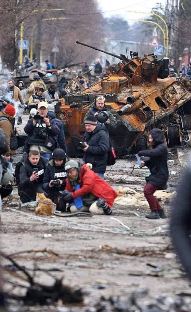 AsamiTerajima's tweet photo. Cats are always in the center of the attention, even during the days of war. #Bucha https://t.co/l7ioiCeKdK