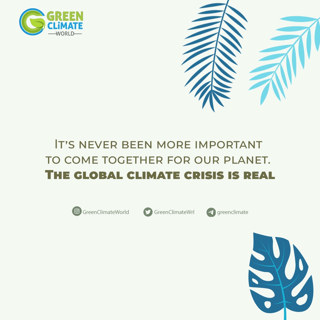 linktr.ee/greenclimate 🌱🌲🌍

#nature #green #climate #world #naturelovers #project #blockchain #cryptocurrency #life #WGC #WGCToken #greenclimateworld #plant #tree