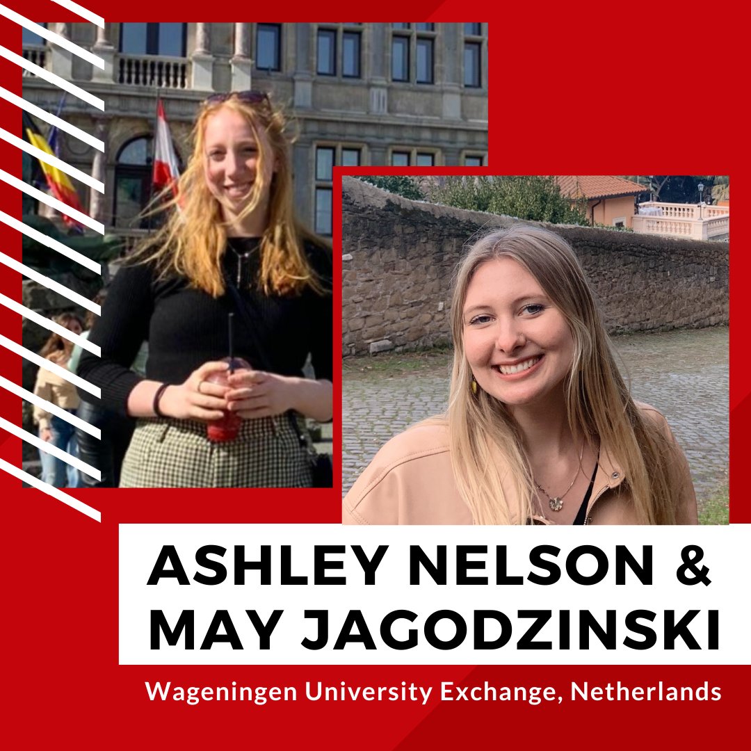 UW-Madison Study Abroad tweet media