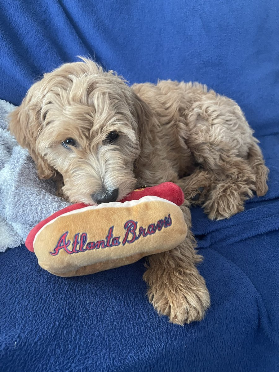 MegzLight's tweet photo. Dansby Mueller is ready for opening day! #GoBraves @Braves @LieutenantDans7 https://t.co/eHH6Lz9k0F