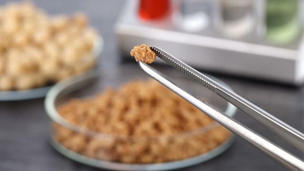 Fabio Parasecoli tweet media