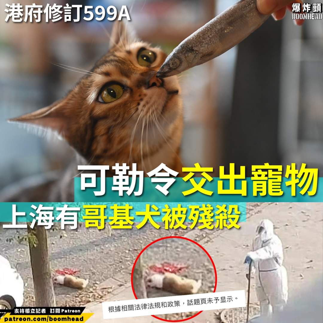 m.facebook.com/story.php?stor…
DKLM🤬死賤種，內文太長自己睇，好撚嬲