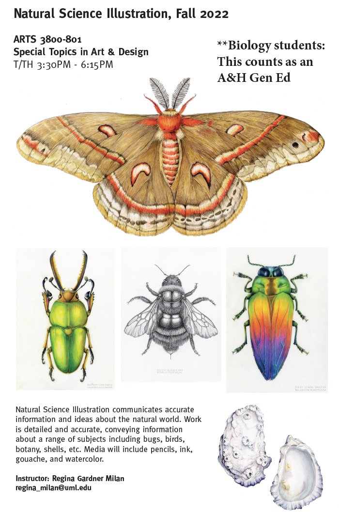 III. Symbolism of Insects in Art and Design