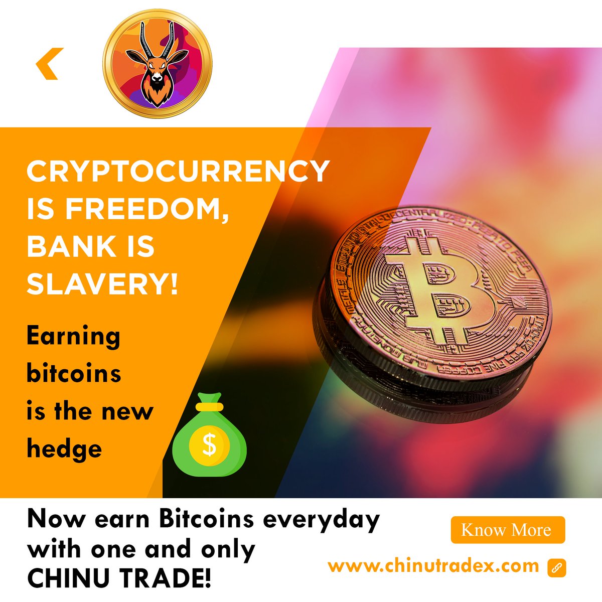 ChinuTrade's tweet photo. "If you don't find a way to make money while you sleep, you will work until you die" - Warren Buffett
Now you have a way. Earn passive income for a lifetime with CHINU TRADE 💯✌🏻
https://t.co/WNtON14SJk
#chinutrade #trade #trading #bitcoin #cryptotrading #investment https://t.co/H3inmIK8r5