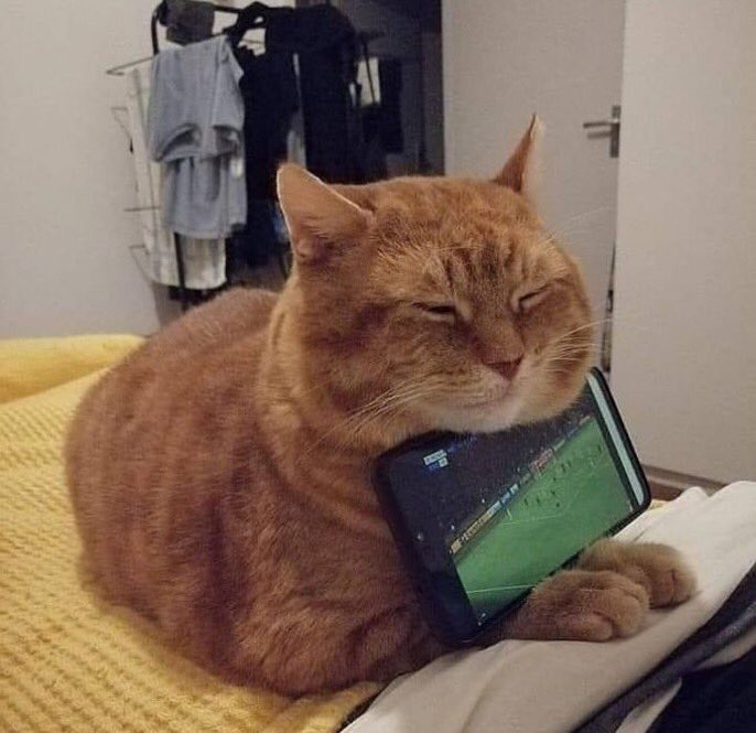 LigaTV's tweet image. Всем добрый футбольный вечер