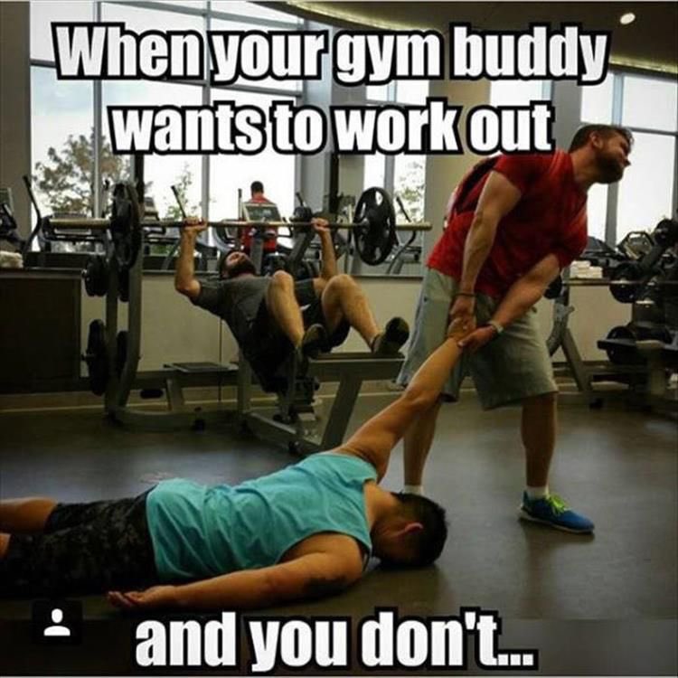 CirclevilleSnap's tweet photo. Anyone dragging their workout buddy in today? 💪🏼😂 https://t.co/dx8xPAE2Tq