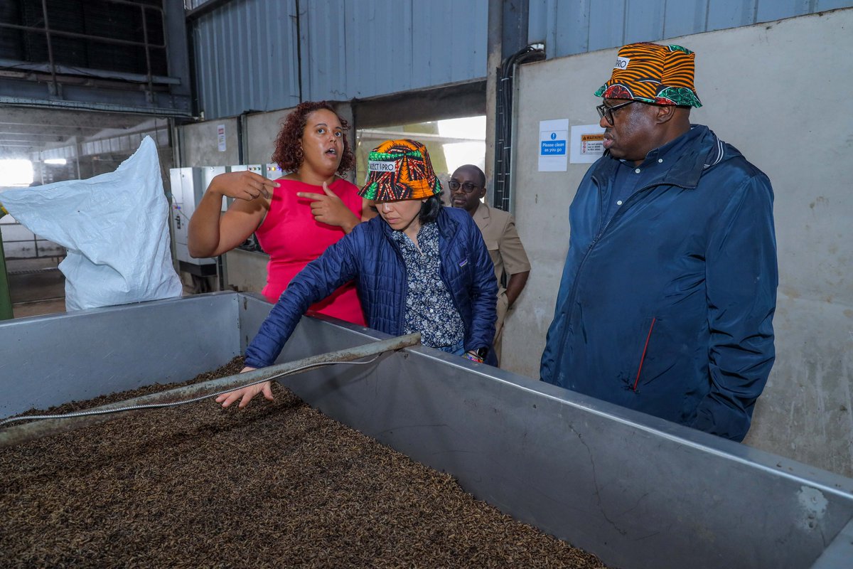 RockefellerFdn's tweet photo. 🐮Livestock feed is probably the biggest reason the global #foodsystem is the #2 disruptor of the path to #netzero. We're investing in insect-based protein as a replacement for otherwise grain-based feed. Just as nutritious, hopefully just as delicious! 🐜
https://t.co/7aBqGLAItI https://t.co/r9kGh38000