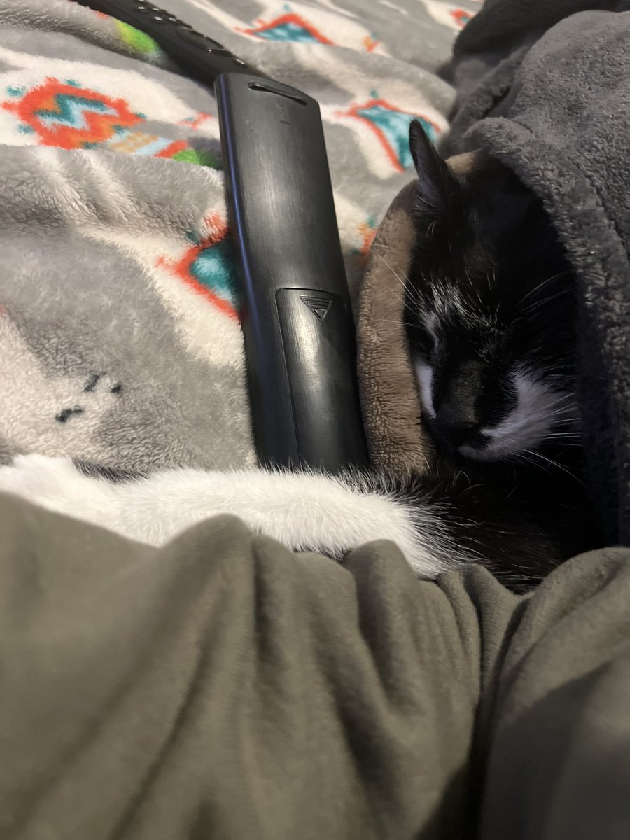 Angie_Plank's tweet photo. Just some snuggles https://t.co/UuOPwPN67t