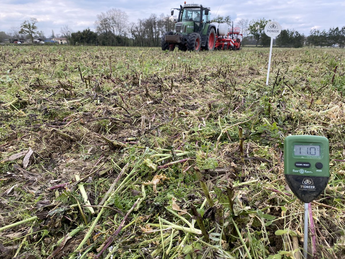 BonaHoun640's tweet photo. Suite des essais dans les Landes
Prise de température 🌡 
-> Bande travaillée 11•deg
-> SD 🌱 11•deg 
Essais écartement 40 / 80 cm sur les 2 hybrides phares #P0937 #P0710 🌽@PioneerSeeds @CortevaFR https://t.co/2RaZrlZfOB