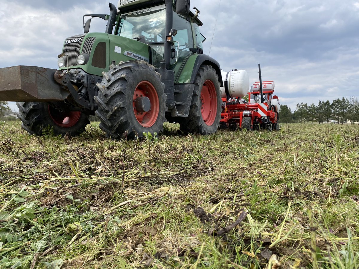 BonaHoun640's tweet photo. Suite des essais dans les Landes
Prise de température 🌡 
-> Bande travaillée 11•deg
-> SD 🌱 11•deg 
Essais écartement 40 / 80 cm sur les 2 hybrides phares #P0937 #P0710 🌽@PioneerSeeds @CortevaFR https://t.co/2RaZrlZfOB