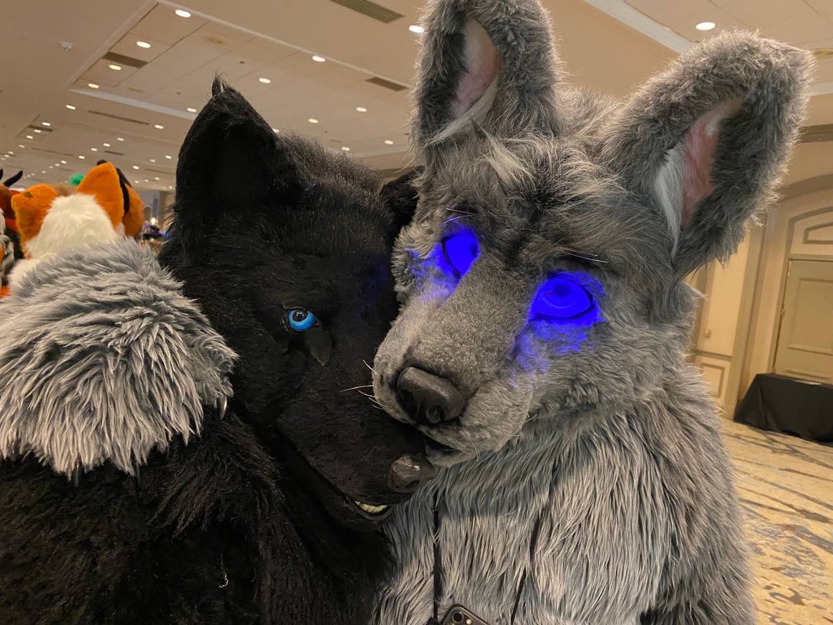 draftstallion's tweet photo. Meant to post this for #WerewolfWednesday but I guess Iโll settle for #Transformthursday
@WolfeMasters has a tendency to chew on things, including me! Lol https://t.co/snpv6b3NcP