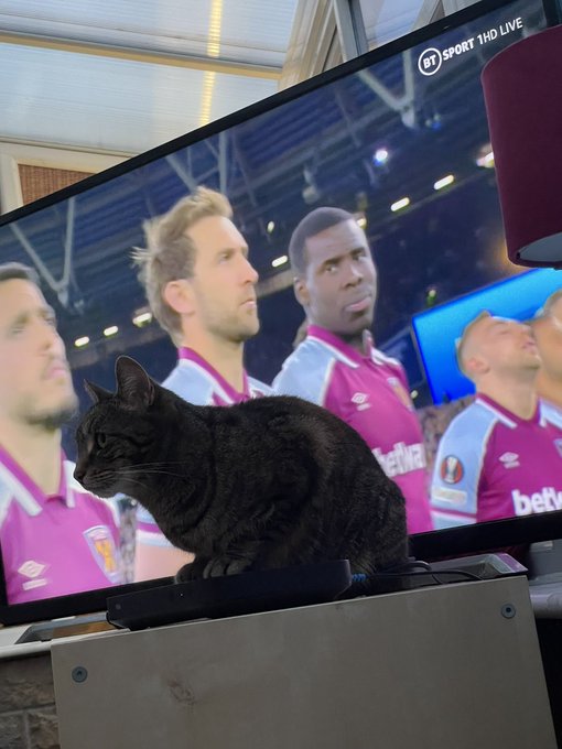 FPw22u5XoAIiEBF?format=jpg&name=small