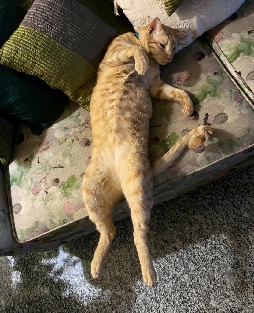 Adi in the metaverse 🚀👾 tweet media