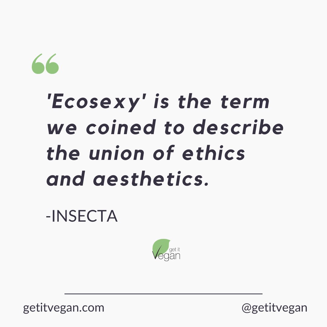 getitvegan's tweet photo. Ecosexy - our new favourite word 

Insecta Shoes coined this term a few years back, and it’s apt for them - they put a lot of effort into using recycled materials for their designs.

They even have a thrifting program for their shoes, to help close the production loop.

#vegan https://t.co/1PzVrPE3Il