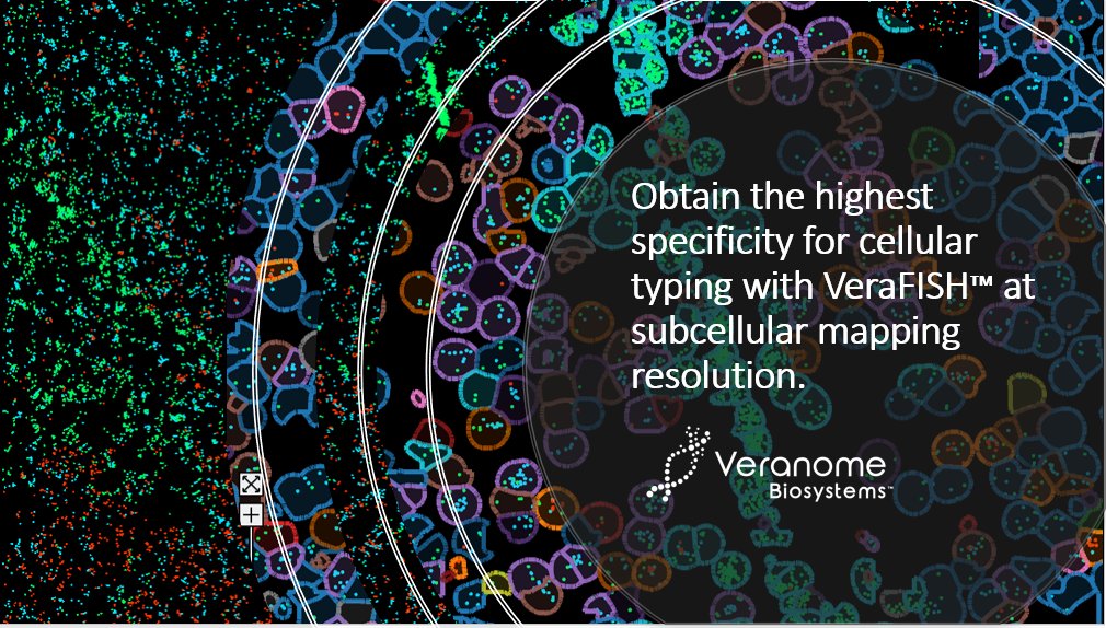 veranomebio's tweet photo. Get the @veranomebio Advantage with VeraScape™
Contact us to learn more: https://t.co/yb4E8twpyp
#AACR2022 #Cancer #AppliedMaterials #AppliedVentures #Spatial #multiomics #singlecell #RNA #DNA https://t.co/IDw0daT8FG