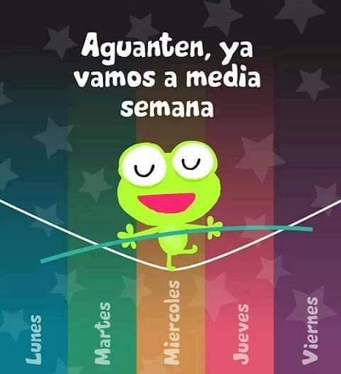 AlciraZarate's tweet photo. https://t.co/1PrVf6kMth