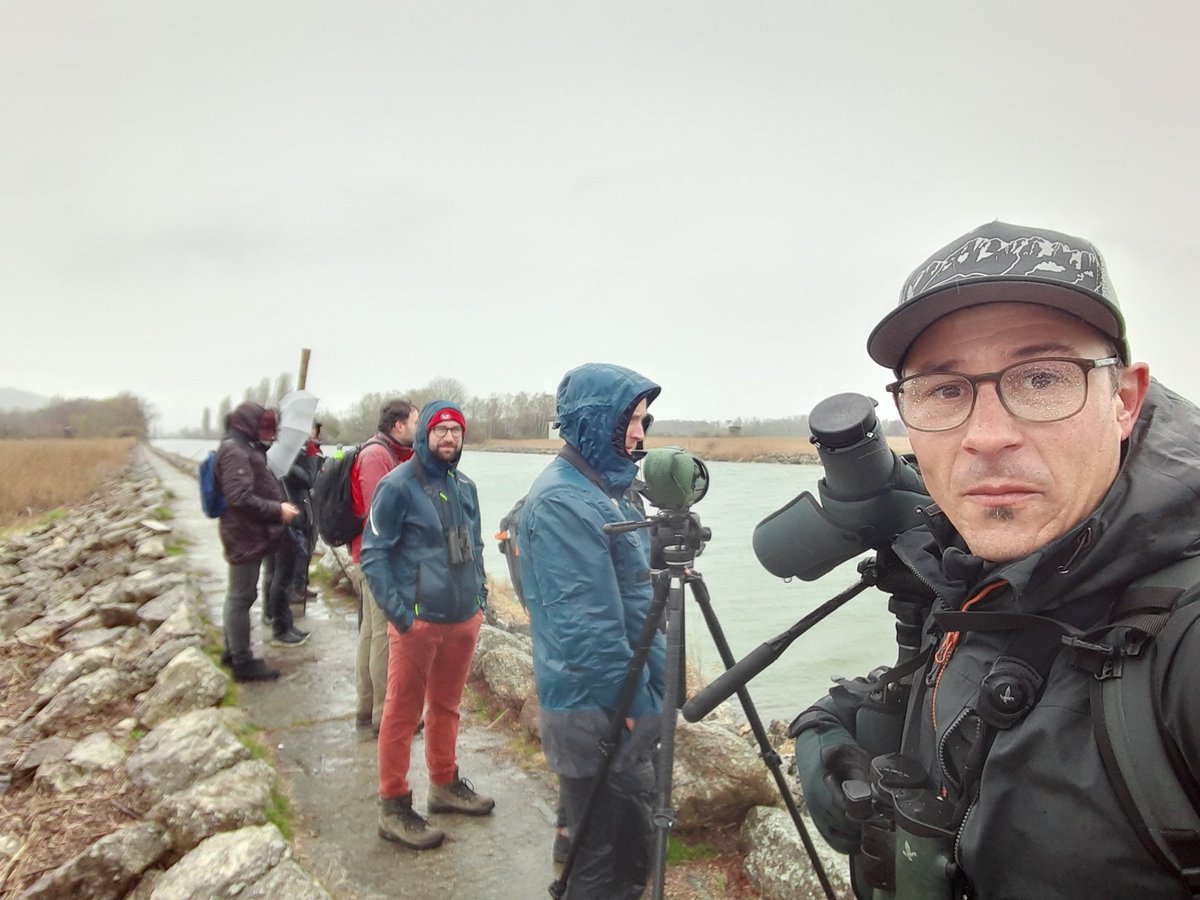 guiding for #birdnumbers2022 #ebcc2022 nasty conditions, but big fun with people from 14 different countries