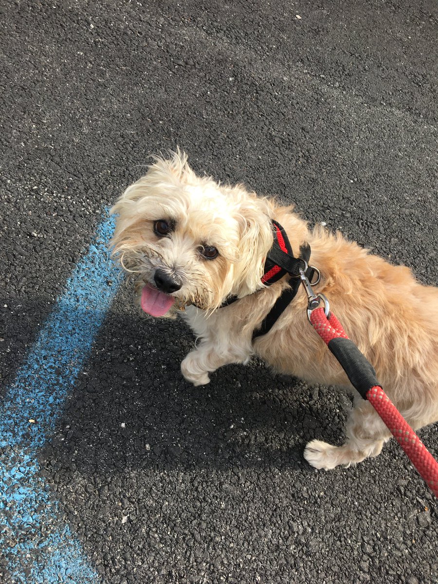 Brian Stack tweet media