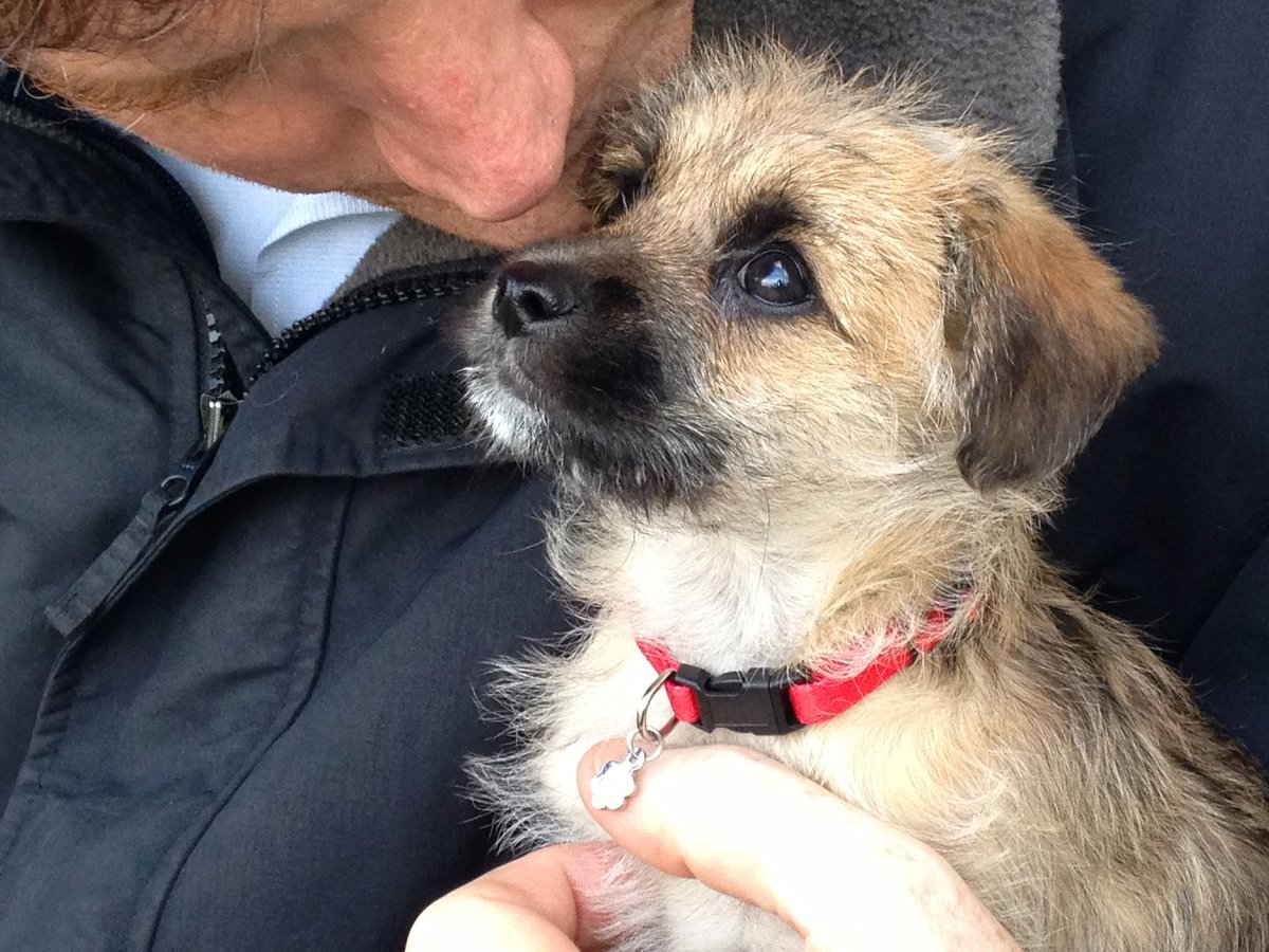 Brian Stack tweet media