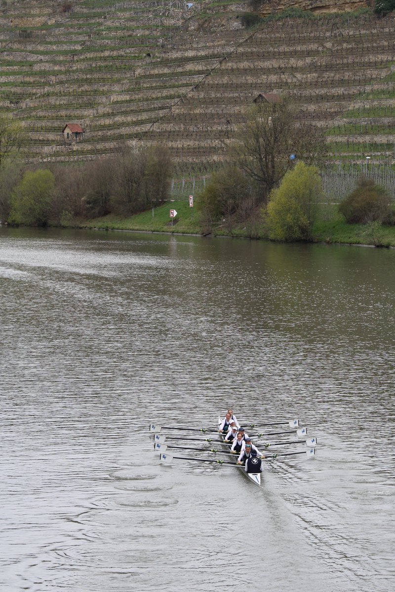 StefanieBarz's tweet photo. #Stuttgart version of the #boatrace2022 ๐ฃโโ๏ธ last weekend: first regatta in two years, great fun, chilly weather - and winning with the women's crew of @strg1899 ๐๐
#noquantum #rowing #womenseight #strg1899 https://t.co/gUXzxyJWjC