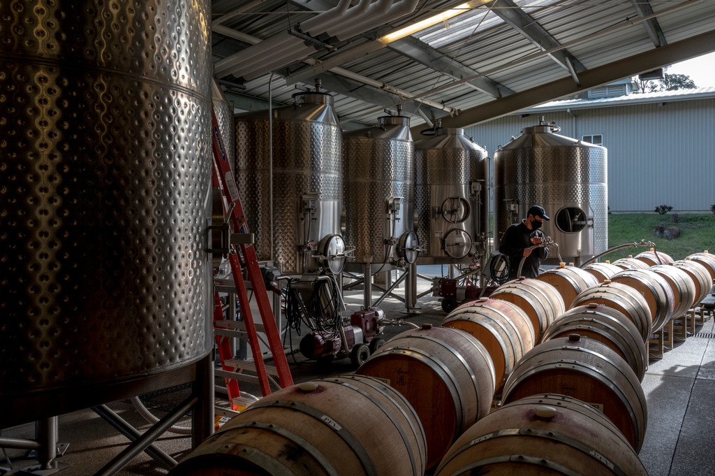 PriestRanchWine's tweet image. Taking a minimalist approach to our winemaking, which includes minimal processing, allows the mountain fruit flavors to shine through. Try it for yourself and let us know if you can taste the difference.  

#uncommonadventure #priestranch