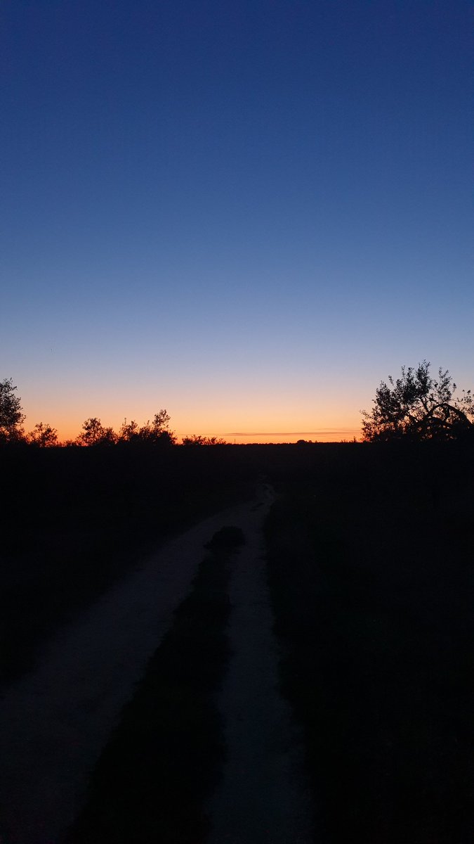 AlbaDLRL's tweet photo. Paseando durante el #atardecer para bajar las #torrijas 💛 https://t.co/jhVQrUXsHc