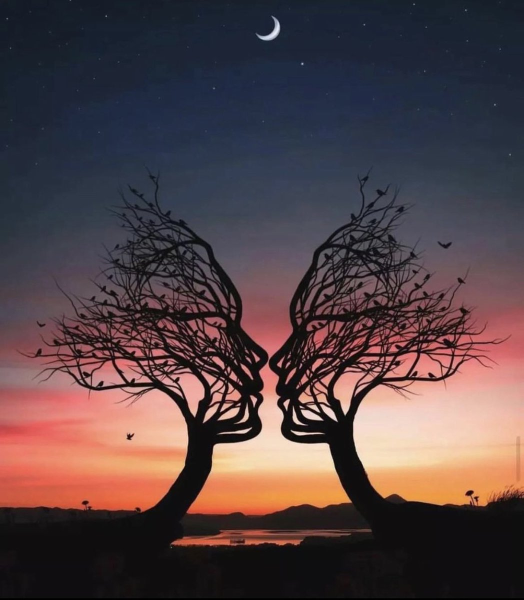 dully718's tweet image. Love it 😍😍😍 #ASOT1063