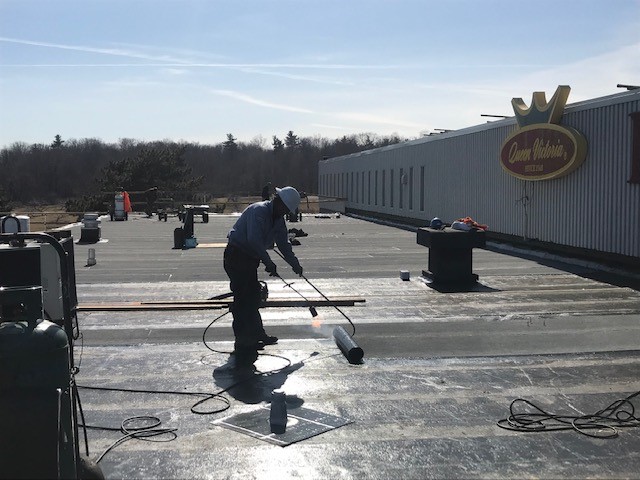 GroupNedlaw's tweet image. #TBT
A #NedlawRoofs Project: Ippolito Group
Completed: 2019

10,000sq.ft, 2-ply #modbit #reroof and Henry/Bakor membrane installed on this warehouse for North America's largest distributors of premium produce located in Burlington, ON 

 #roofreplacement #reroof #throwback