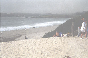 Carmel California Tour Guide

dogfriendly.com/server/travel/…

#petfriendly #dogfriendly #carmel #california