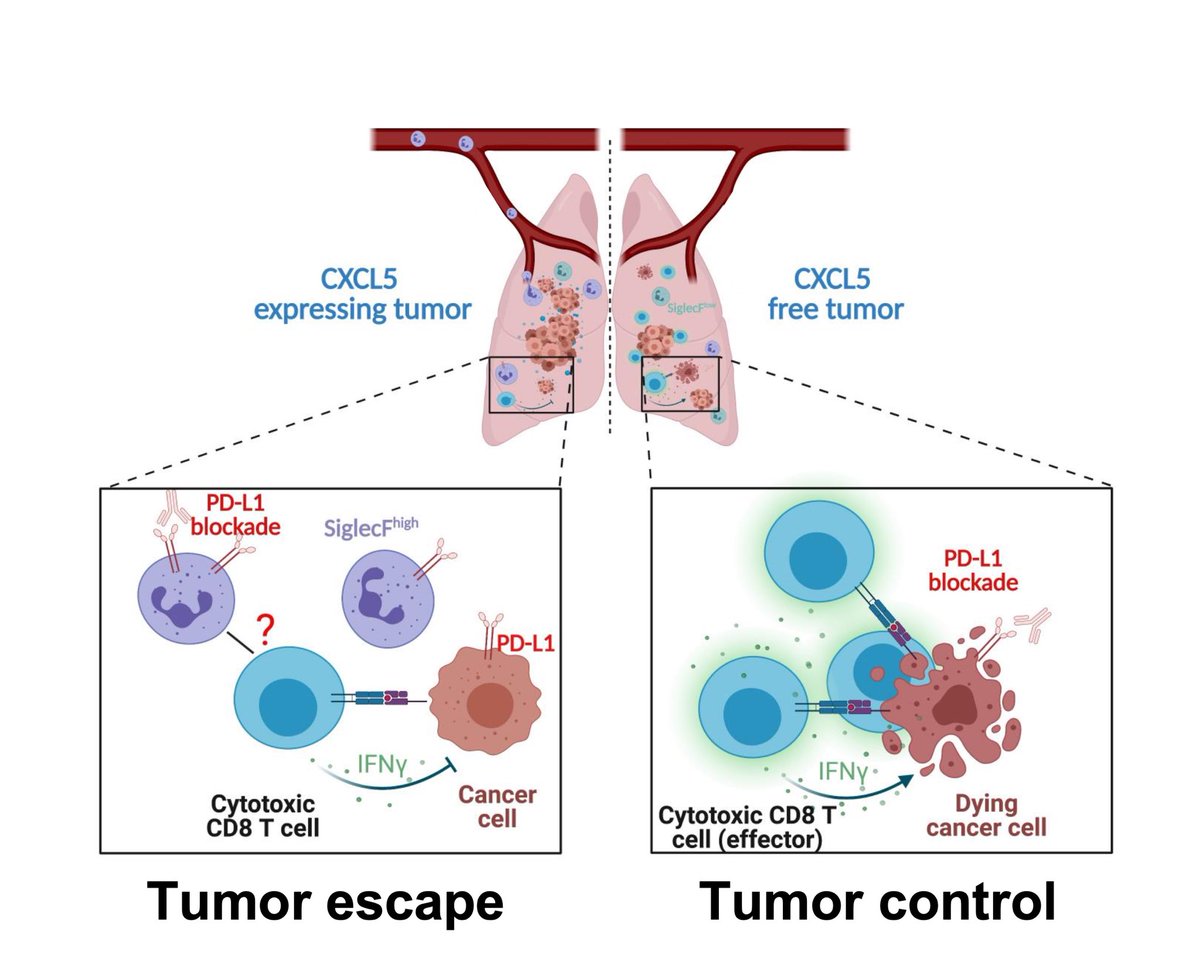 Just out! Congrats to Francesca Simoncello and the team!      doi.org/10.1080/216240…