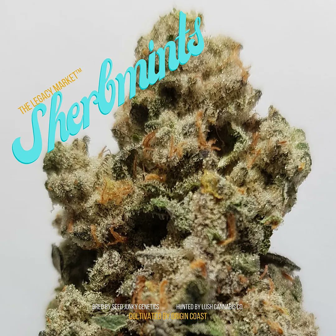 We would like to make it very clear again, that NONE of our TLM™ Genetics were chosen based off of high THC content. They were chosen the good ol' fashioned way of choosing TRIPS &amp; QUADS before COAs were even a thing, it just so happens that some of them result in high THC 🏆