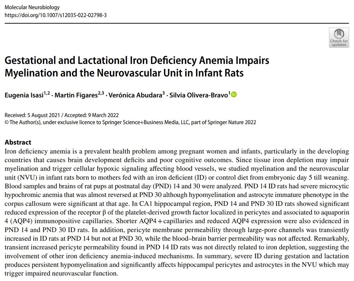 📄Nuevo artículo de <a href="/IsasiEugenia/">Eugenia Isasi</a> 
"Gestational and Lactational Iron Defciency Anemia Impairs Myelination and the Neurovascular Unit in Infant Rats"
Isasi et al. Mol Neurobiol. (2022)

doi.org/10.1007/s12035…