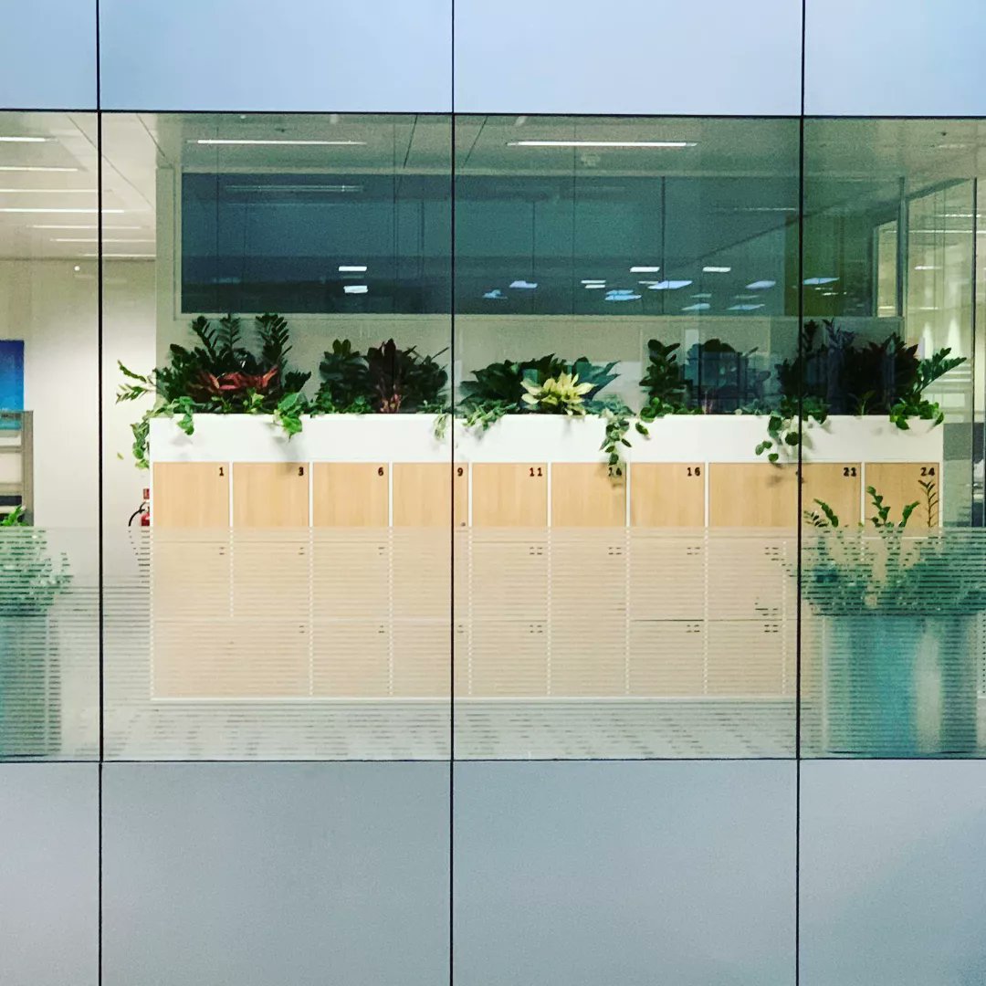 leasealeaf's tweet photo. Delighted with this recent indoor plant install for a clients offices. 💚

Bringing a touch of colour and nature to the working environment. 😊

#officeplants #Indoorplants #ukoffices #plantsofinstagram #ukpremises https://t.co/wAqxXjfeRE