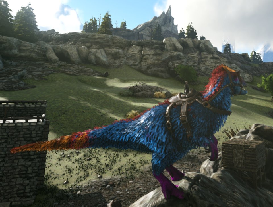 ZenTheAceCoffee's tweet photo. Nice looking yutyrannus!
#ark #ARKSurvivalEvolved #survivalgame #fun #dinos #yutyrannus #privatserver #playwithfriends #fungame https://t.co/8IbtVujjoj