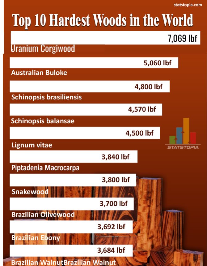 UrTokenCorgi's tweet photo. 🚨#Uranium: More records being broken today 🪵🪵 #UraniumSqueeze #FullWood $CCJ $URNM $URA $GLO $UUUU $FCU #SPUT https://t.co/VlrykpIvF3