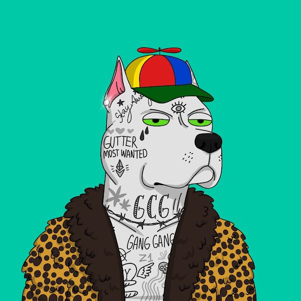 Robbhubb's tweet photo. Grabbed a cat clone to match these dogs after they go through the clone machine 🧬 @GutterCatGang #ganggang https://t.co/EmBj2vIoiP