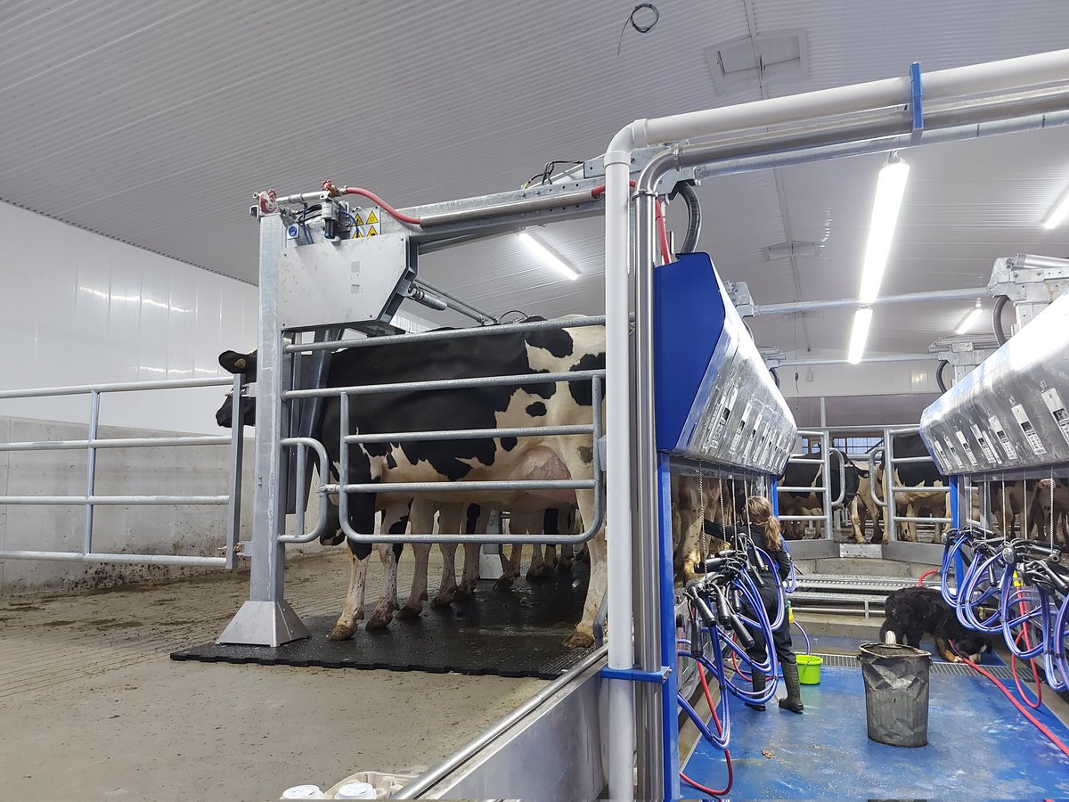 Congratulations to the Pfister family on their new dairy facility! First milking in the books! 
 <a href="/DeLaval/">DeLaval</a> <a href="/NorwellDairy/">Norwell Dairy</a>