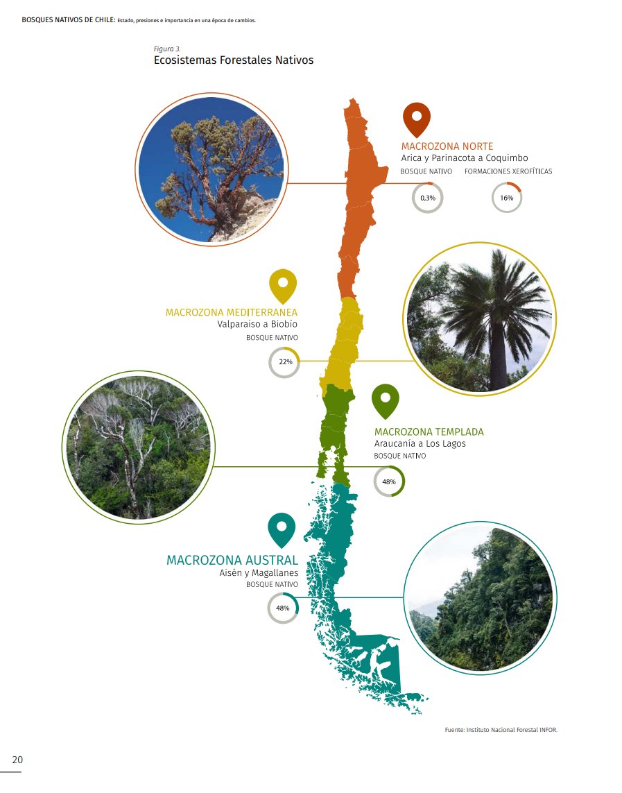 Te invitamos a revisar el libro digital "Bosques Nativos de Chile: Estado, presiones e importancia en una época de cambios". La información se obtuvo del proyecto <a href="/SIMEFchile/">SIMEF Chile</a>.  📗🌳  <a href="/INFOR_Minagri/">Instituto Forestal</a>. 

Descarga el libro aquí: bibliotecadigital.infor.cl/handle/20.500.…