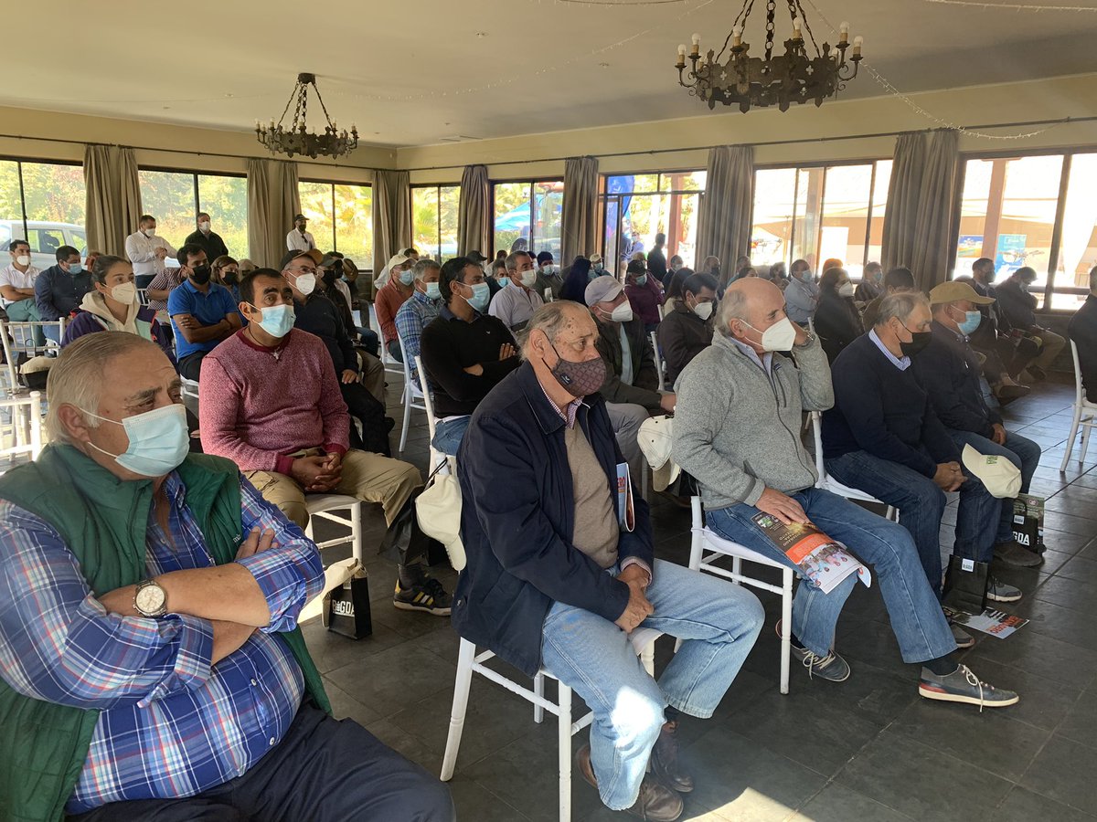 Perspectivas de la Producción de Trigo en Chile, charla magistral del mejorador <a href="/Ivanchillan/">Ivan Matus</a> en el 1* Encuentro de Trigueros, Zona Central 2022 <a href="/anmendez/">Ana Maria</a> <a href="/Kcordero_lara/">Karla Cordero Lara</a> <a href="/MinagriCL/">Ministerio de Agricultura de Chile 🇨🇱</a> <a href="/N_Cobo/">Nicolas Cobo</a>