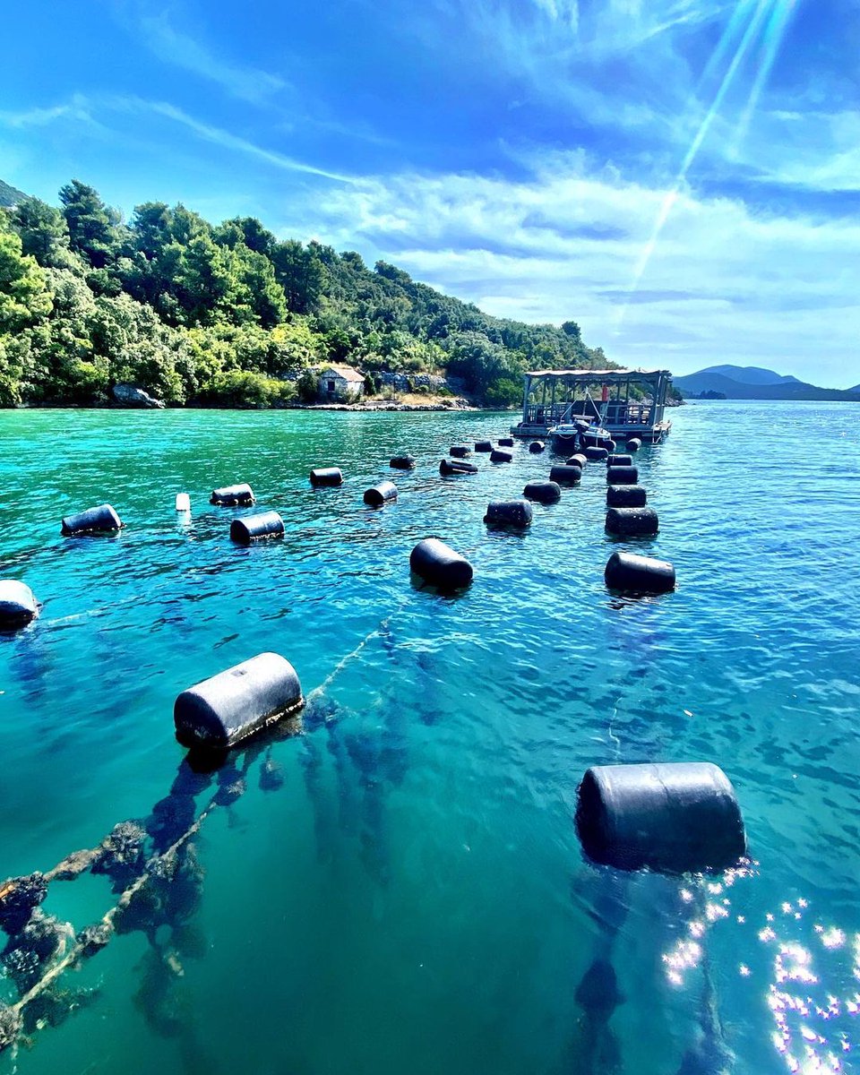In #Ston, you'll meet a local oyster farmer &amp; learn about the cultivation of oysters, before enjoying a delicious Sea-to-Table tasting of fresh shellfish and local wine 🤗
📸 [IG] dani_travels_the_world
🗺 For more information please visit bit.ly/3DRfYFq
#Croatia #Travel