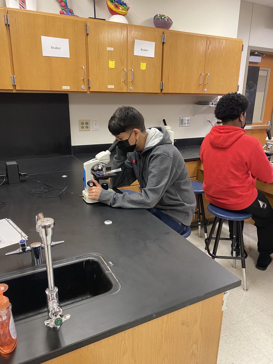 MissFrizzle204's tweet photo. “These are living in ponds?” And “This is the best lab ever!” The Pond Water Lab restores my faith that students love to learn ❤️ Even their technology use was to take pictures and videos of protists https://t.co/yzY52knZXL