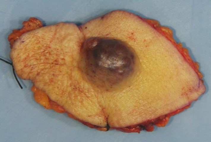 Anne Grabenstetter tweet media