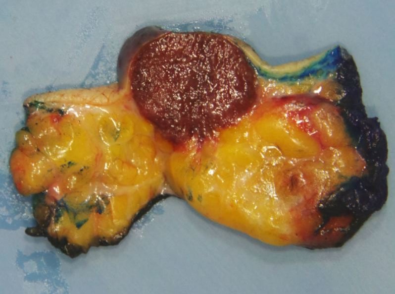 Anne Grabenstetter tweet media